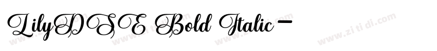 LilyDSE Bold Italic字体转换